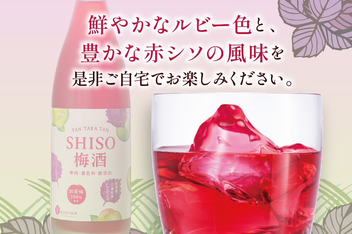 鍛高譚(たんたかたん)の梅酒[1800ml]【4本セット】