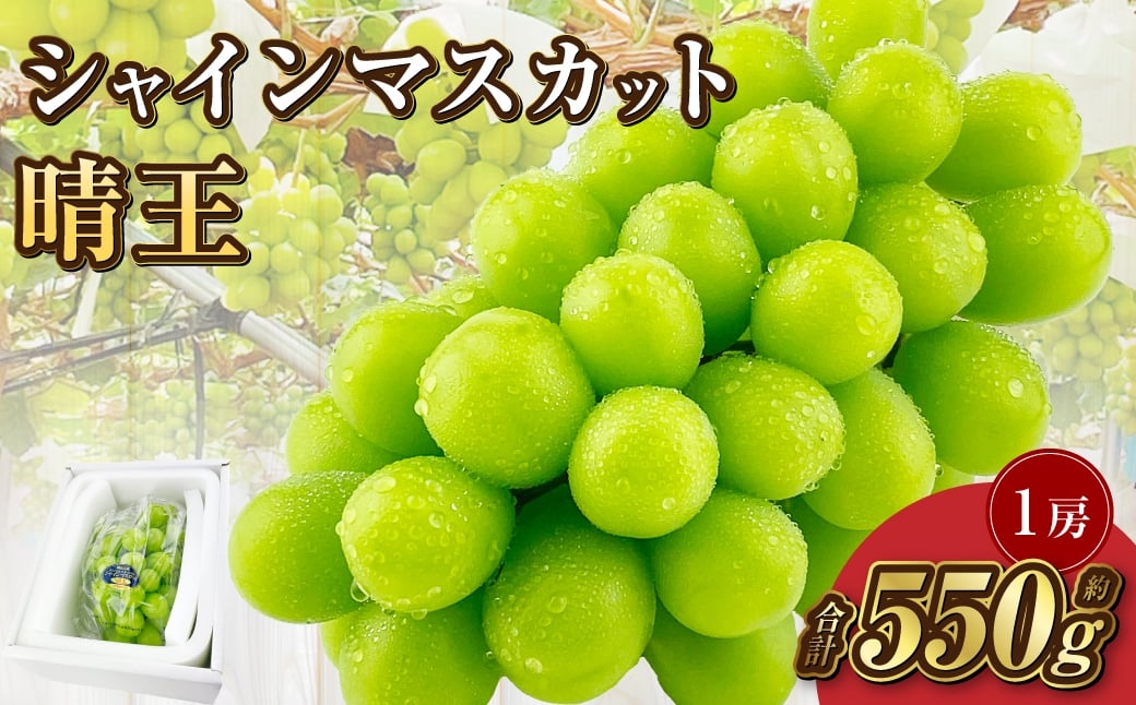 
            岡山県産 シャインマスカット 晴王 1房 約550g【2026年9月上旬-10月下旬 発送予定】｜種無し 皮ごと食べる フレッシュ 先行受付 ハレノフルーツ
          