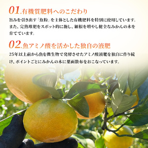 R-37「果樹園みかんの木」のお楽しみ５回定期便コース　みかん ミカン 蜜柑 温州みかん 完熟みかん 甘熟 柑橘 しらぬひ でこぽん デコポン みかんジュース ストレートジュース 100％ジュース 有