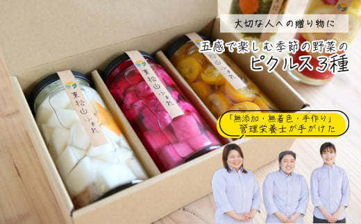 
東松山市産 減農薬野菜を使用した季節のピクルス 3本詰め合わせ ｜ピクルス 減農薬 旬の野菜 季節野菜 管理栄養士
