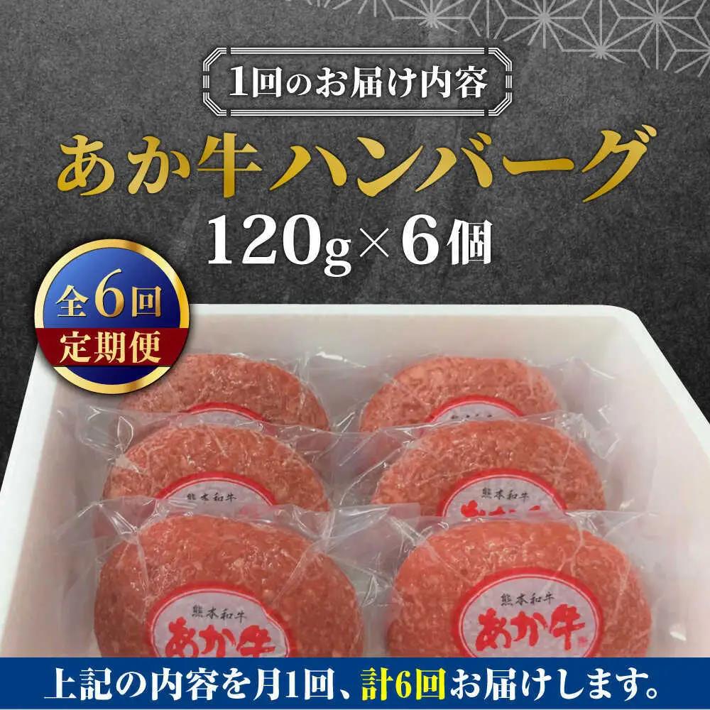 【全6回定期便】あか牛 100％ハンバーグ 約120g×6個 ハンバーグ[AYCQ084]