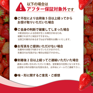 【2026年2月より発送】　先行予約 品種おまかせいちご 1000g 苺 いちご いちご いちご いちご いちご