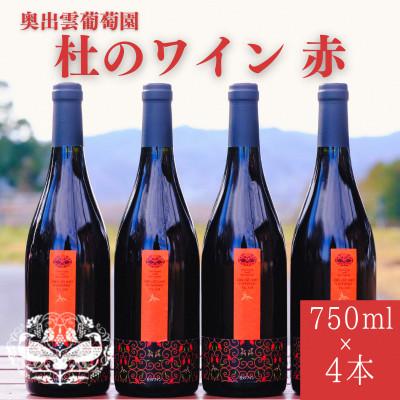 ふるさと納税 雲南市 杜のワイン赤 750ml×4本 辛口ワイン 赤ワイン4本セット