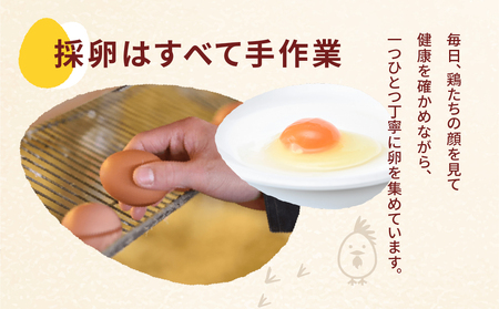 【定期便3ヶ月】純国産鶏 さくらたまご 20個｜たまご