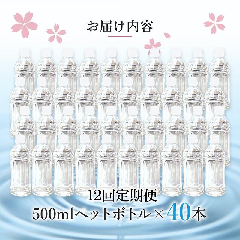【12回定期便】天然水「サクラシリカ」500ml 40本 12回 計480本 定期便 シリカ含有量99mg/L シリカ水 ラベルレス 水 ミネラルウォーター 飲料水 飲料 ペットボトル ナチュラルウォーター サルフェート 炭酸水素イオン ミネラル 国産 阿蘇 小国郷