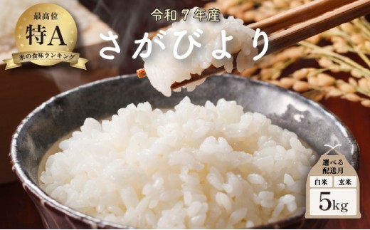 【2026年7月配送】令和7年産 さがびより 5kg ／米 お米 返礼品 飯 ごはん 弁当 銘柄米 白米 県産米 佐賀県産 国産米 精米 ブランド米 おにぎり 国産 食品 人気 おすすめ ふるさと納税米 精白米 主食 ご飯