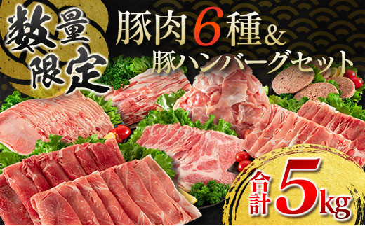 
数量限定 豚肉 6種 豚ハンバーグ セット 合計5kg ポーク 国産 スライス 小間切れ 豚ウデ 豚モモ 豚バラ 豚ロース 万能食材 大容量 小分け おかず お弁当 おつまみ 食品 生姜焼き 炒め物 ご褒美 お祝い 記念日 お取り寄せ 詰め合わせ 送料無料_DC13-23
