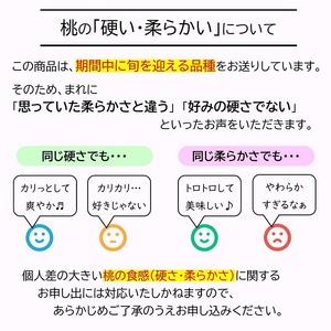 【令和7年産先行予約】 もも「美郷・あかつき・まどか 等」約3kg  (6～11玉) 《令和7年8月上旬～発送》 『生産者 高橋 賢一』 桃 モモ 果物 フルーツ 山形県 南陽市 [1981]