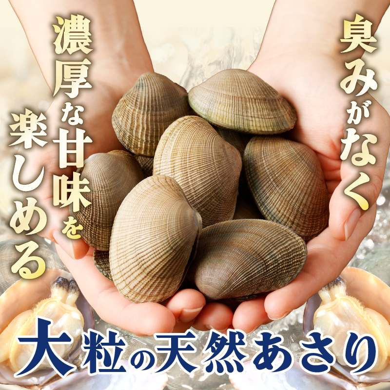 4月～6月発送分《先行予約・期間限定》浜中町産活あさり(500g×3袋セット)_230106-02