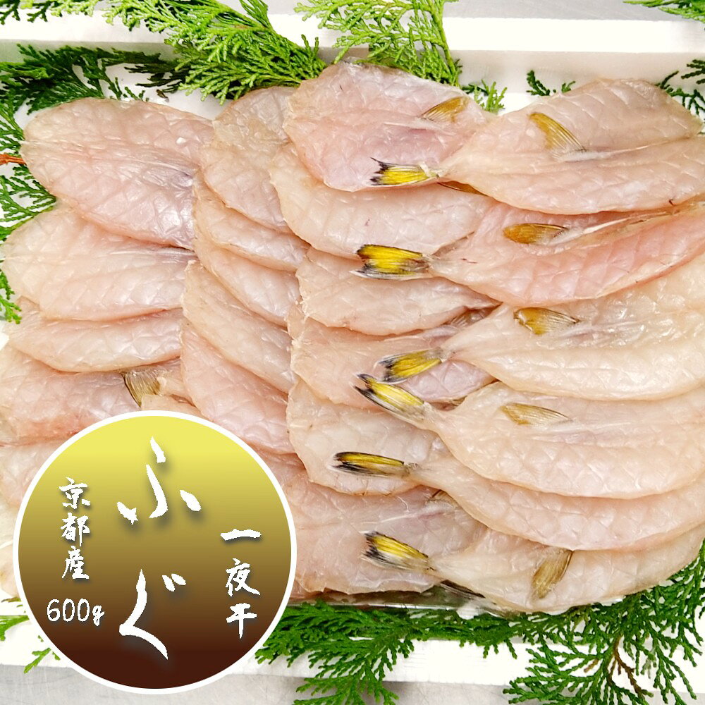 【ふるさと納税】 京都府産 ふぐ 一夜干し 600g 無添加 【期間限定】 フグ 干物 海産物 海鮮 日本海 海の幸 つまみ