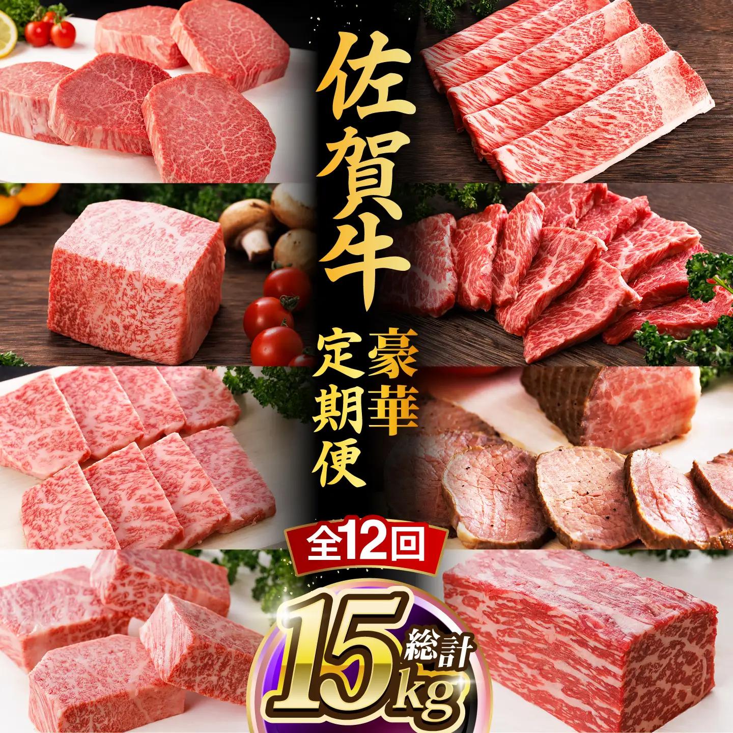 【全12回】佐賀牛 豪華定期便 約4-6人前 牛定期便 [UCC003]