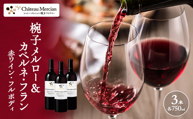 ワイン 椀子メルロー カベルネ・フラン 750ml 3本 シャトー・