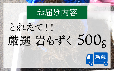 【先行予約】岩もずく0.5kg ※2026年5月下旬ごろ順次発送｜北陸 厳選 もずく [A-018002]