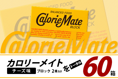 【3回定期便】≪チーズ味≫ カロリーメイトブロック 2本入り 計20箱 ×3回 合計60箱【徳島 那賀 大塚製薬 カロリーメイト チーズ ビタミン ミネラル たんぱく質 脂質 糖質 5大栄養素 バラン