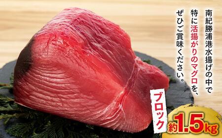 【ギフト用】生まぐろの本場紀州勝浦から直送！　生メバチマグロ 約1.5kg