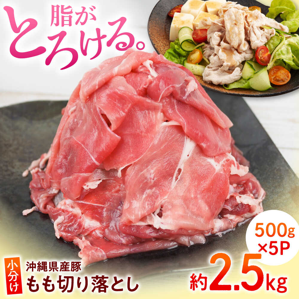 【ふるさと納税】沖縄 豚肉 もも切り落とし 約2.5kg (500g×5P) 豚肉 切り落とし もも肉 冷凍 小分け 冷凍 国産豚肉 国産 おすすめ おいしい 人気 豚肉 大容量 沖縄市 / 宮城ふぁーむ [BCAJ013]