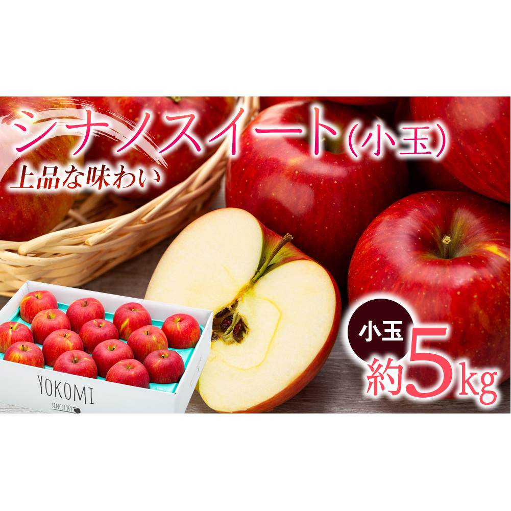 【2025年/令和7年度発送分！】信州りんごシナノスイート【小玉】約5kg りんご リンゴ 林檎 長野 フルーツ 果物 信州産 長野県産 特産 産地直送 おすすめ 旬の果物 旬のフルーツ 食べ物 食品 