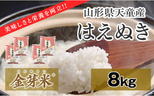 06B1113-1　金芽米はえぬき8kg[令和6年産]