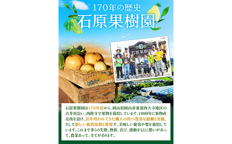 【2024年先行予約】梨 なし 3kg 梨 秋 旬 なし あたご梨 2~3玉 鴨梨 3玉 特選箱 石原果樹園 《11月下旬-12月中旬頃より発送予定》岡山県 浅口市 果物 フルーツ 梨 詰め合わせ 贈