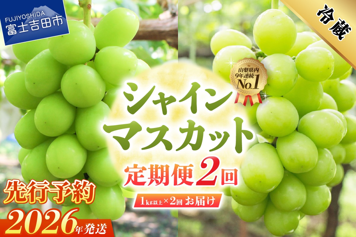 
            【2026年発送 先行予約】【2回定期便】ジューシーで甘さ抜群 厳選シャインマスカット1kg以上×2回配送 ぶどう 果物 フルーツ 旬 山梨県 2026年 山梨 富士吉田市
          