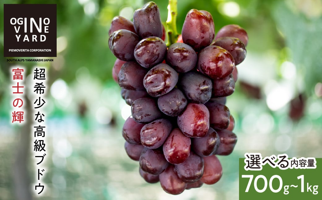 
            【２０２５年秋収穫先行予約_9月中旬～発送】 山梨県産 富士の輝７００ｇ～１．０ｋｇ＜選べる内容量＞
          