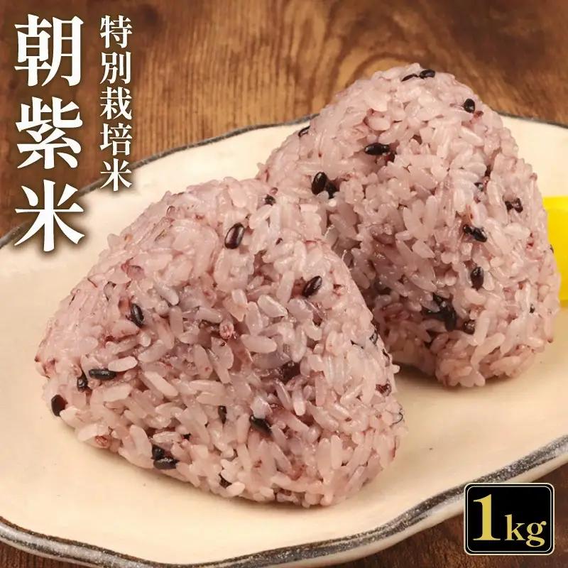 雑穀 古代米 黒米 1kg ｜ 新潟 新発田市 させ農園