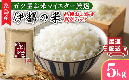 【長期保存可能】 五ツ星お米マイスターが厳選 品種おまかせ 白米 5kg 糸島市 / 納富米穀店[ARL005]