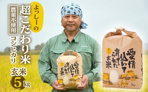 よっしーの超こだわり米(農薬不使用) コシヒカリ（玄米）5kg 米 お米 おこめ ふるさと納税 山形県 新庄市 F3S-0998