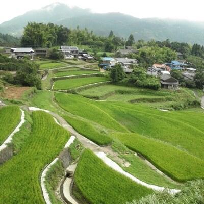 ふるさと納税 多久市 令和7年産　ひらの棚田米夢しずく 精米白米27kg　 (9kg3個) |  | 01