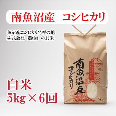 ふるさと納税 南魚沼市 【毎月定期便】南魚沼産 コシヒカリ 白米5kg全6回