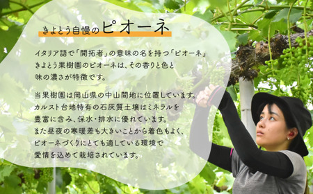旬採り桃、ピオーネ、シャインマスカットが届く3回便！(定期便) (岡山県産)【KF-T001-03】