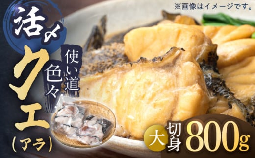 使い道いろいろ！ 活〆 クエ （ アラ ） 切身大 《 対馬市 》 【 対馬逸品屋 】 海鮮 高級 鍋 おもてなし [WAF013]冷凍 新鮮 くえ 鍋セット 海の幸 クエ 下処理 冷凍 新鮮 小分け 海産物 九州 長崎 唐揚げ からあげ 天ぷら てんぷら 煮付け 5人前 クエ鍋 対馬
