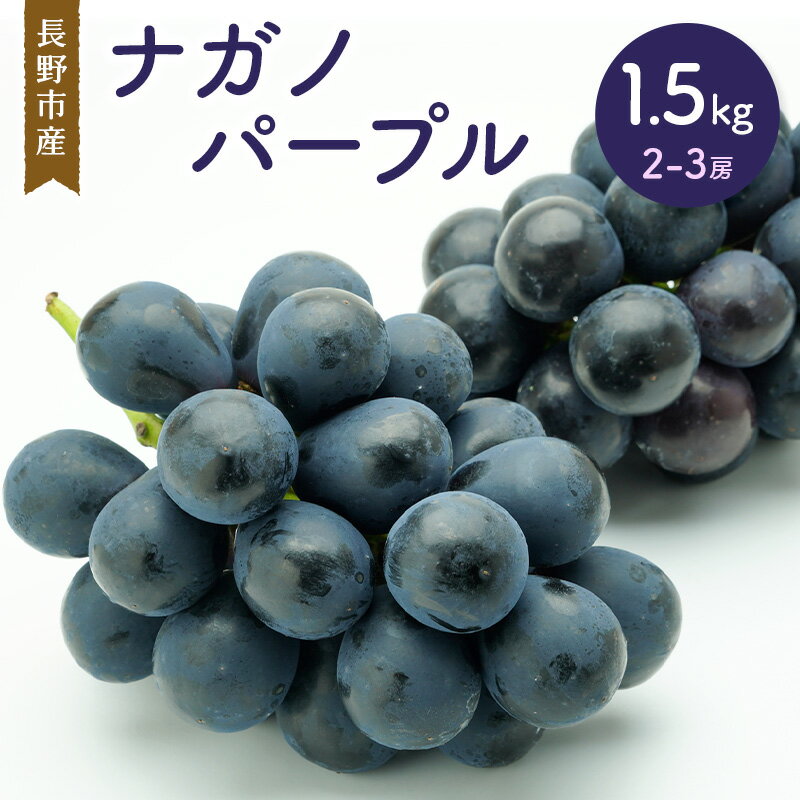 【ふるさと納税】ナガノパープル 1.5kg 2-3房 長野市産 フルーツ 果物 ぶどう ※配送不可:沖縄、離島　お届け：2025年8月下旬～9月上旬まで