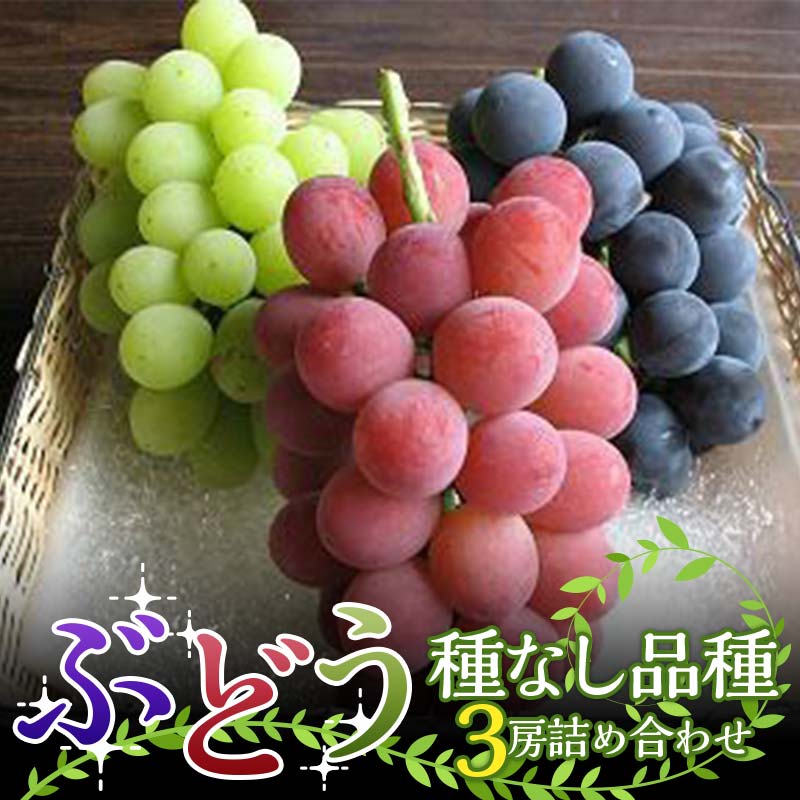 【ふるさと納税】 【令和8年産先行予約】 高級ぶどう 種なし品種 3房詰合せ 《令和8年9月中旬〜発送》 『漆山果樹園』 葡萄 ぶどう ブドウ 種なし 新鮮 果物 フルーツ デザート 山形県 南陽市 [1520-R8]
