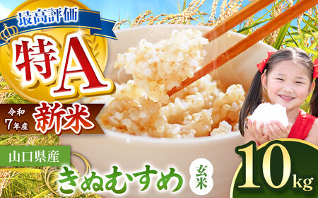 令和7年度産 きぬむすめ 玄米 10kg ＜ 2026年1月～より順次発送予定 ＞ 