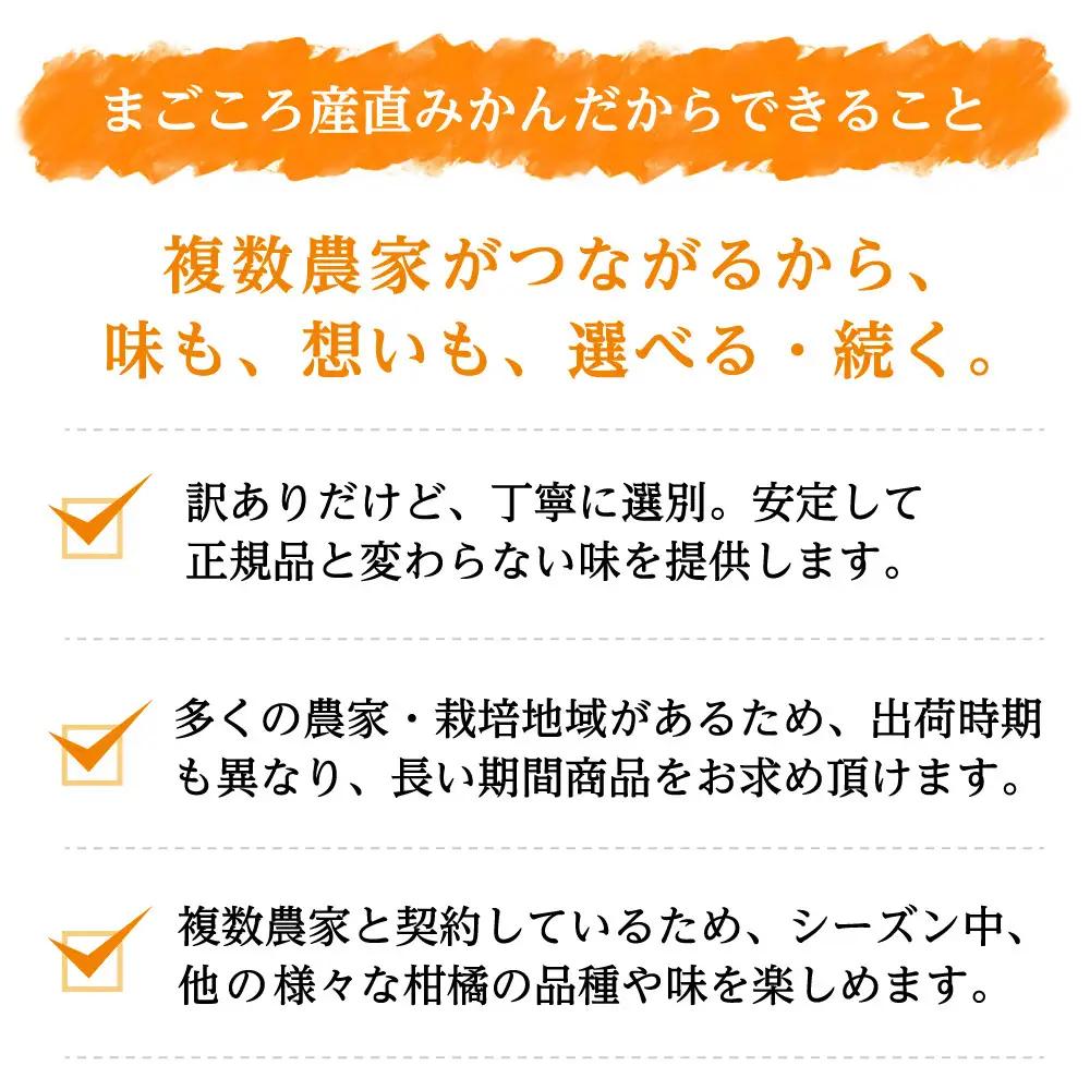 訳あり 早生みかん 6.5kg みかん