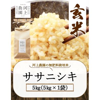 ふるさと納税 矢掛町 無肥料栽培ササニシキ玄米5kg(5kg×1袋)《30日以内に出荷予定(土日祝除く)》