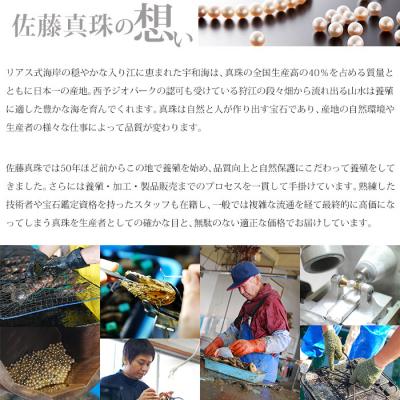 ふるさと納税 西予市 <真珠ピアス・トライアングル(イエローゴールド)>　パール　ジュエリー　アクセサリー　西予市　お祝い |  | 02