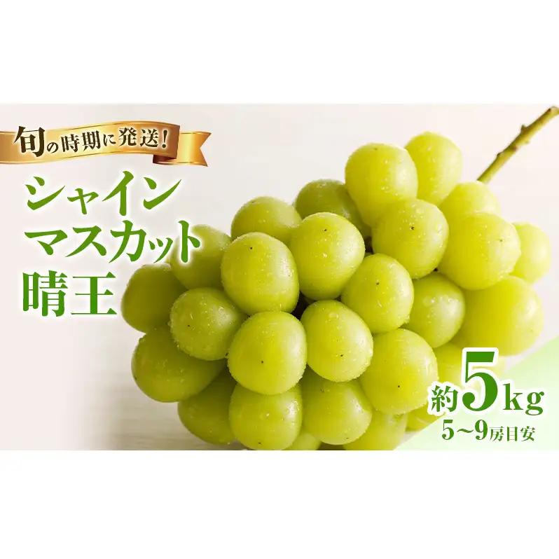 【2026年先行受付】 シャインマスカット 晴王 秀品 大房 約5kg(5～9房） 岡山県産 シャインマスカット