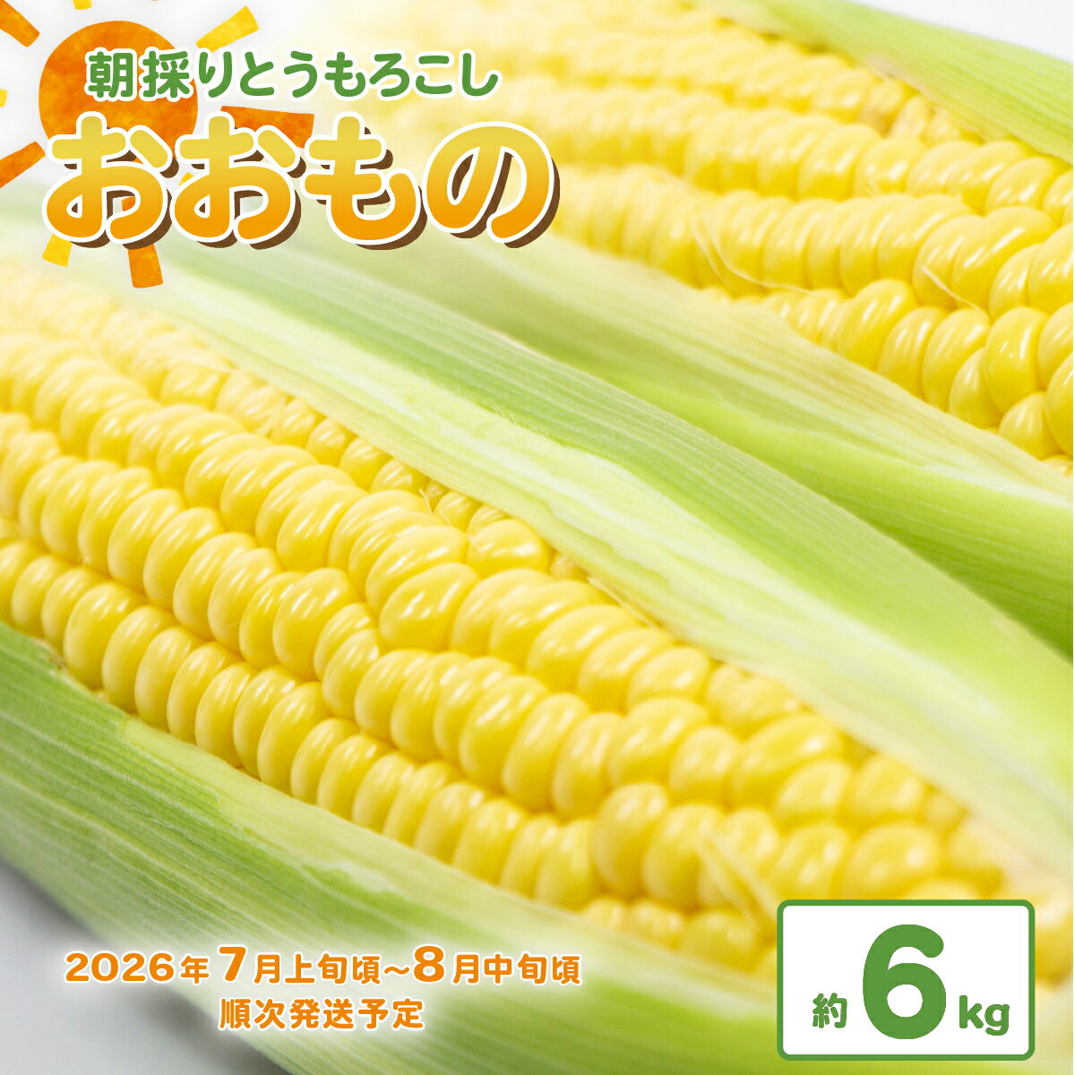 【ふるさと納税】【先行予約】とうもろこし 6kg おおもの トウモロコシ 令和8年産 朝どれ スイートコーン 朝採れ 朝採りとうもろこし約6kg（おおもの）【先行予約：2026年7月上旬～8月中旬ころ順次発送予定】