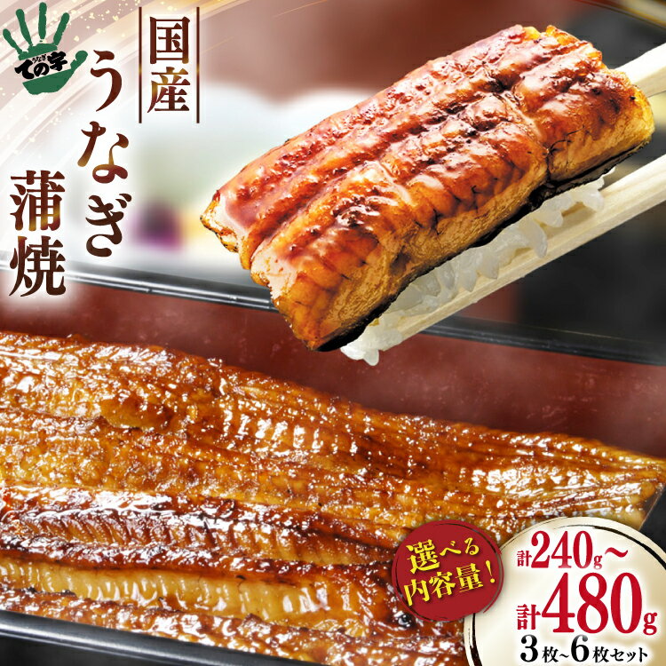 【ふるさと納税】【選べる内容量】 うなぎ 国産 蒲焼 80g 3 or 6パック 選べる量 [ての字 静岡県 吉田町 22424572] 鰻 ウナギ unagi うなぎかば焼き うなぎ蒲焼き 鰻蒲焼 蒲焼き 真空パック タレ たれ 静岡県産 丑の日 丑の日配送