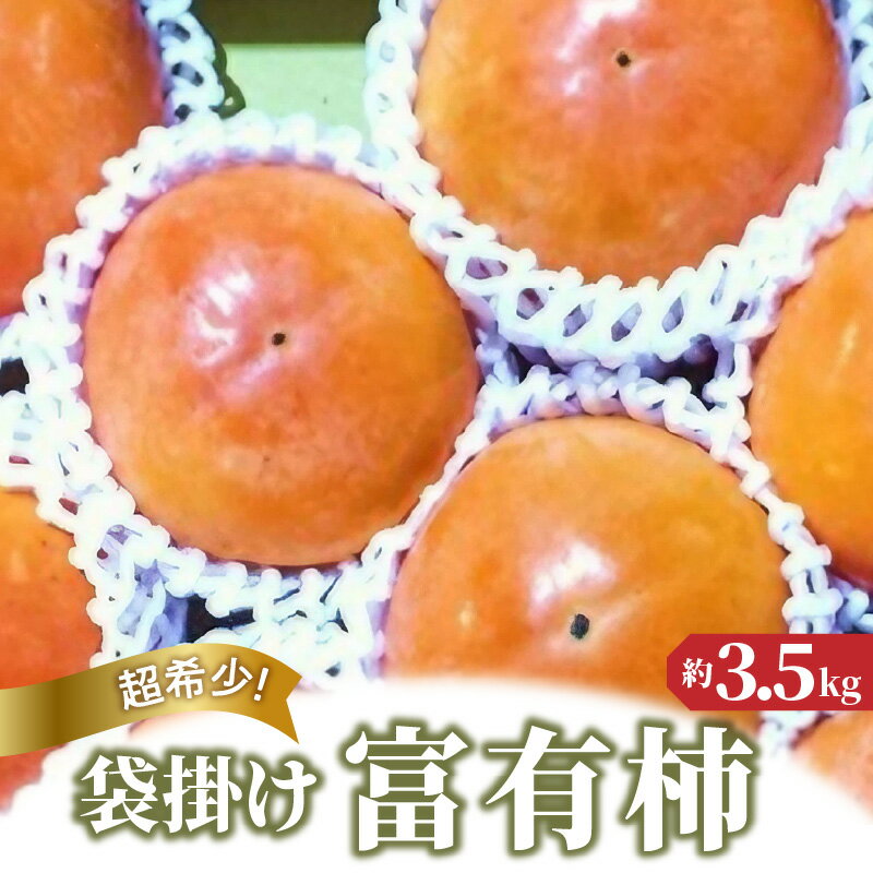 【ふるさと納税】【先行予約】【配送不可地域：北海道・沖縄県・離島】超希少！袋掛け富有がき 約3.5kg 秋 旬 五色青果