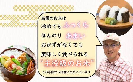【先行予約】【定期便】［令和７年産 新米］たかちゃんのお米（コシヒカリ） 精米 5kg×6回 サイクルファーム（7-48） 長野県 飯山市 おすすめ ランキング おいしい 高評価 大人気 こしひかり 