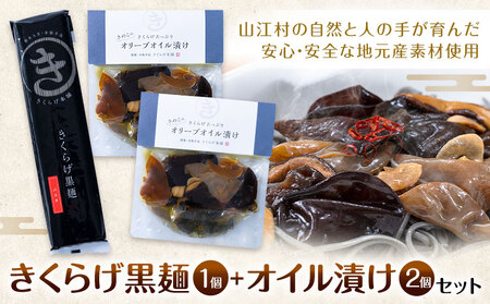 きくらげ黒麺 1袋 ＋ オイル漬け 2個 セット 鷹乃産業有限会社 《30日以内に出荷予定(土日祝除く)》熊本県 球磨郡 山江村 きくらげ きのこ 野菜 パスタ ペペロンチーノ 麺 おつまみ