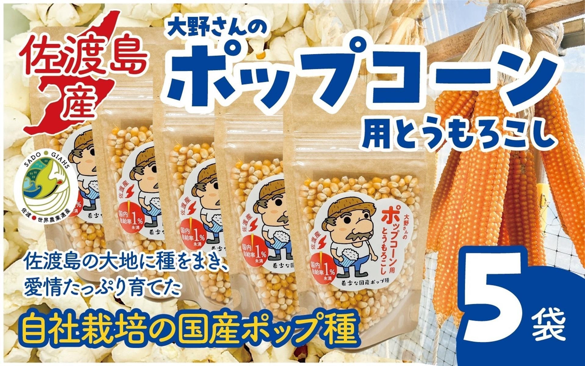 
                  【佐渡島産 ポップコーン用とうもろこし】180g×5袋 自社栽培 国産ポップ種 遺伝子組換えでない | 新潟県産とうもろこし 佐渡産とうもろこし ポップコーン ぽっぷこーん ポップ種 とうもろこし トウモロコシ コーン 乾燥豆 おやつ にいがた さど 新潟県 佐渡市
                