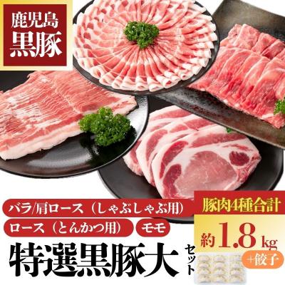 ふるさと納税 肝付町 特選黒豚大セット(合計約1.8kg)　B02074