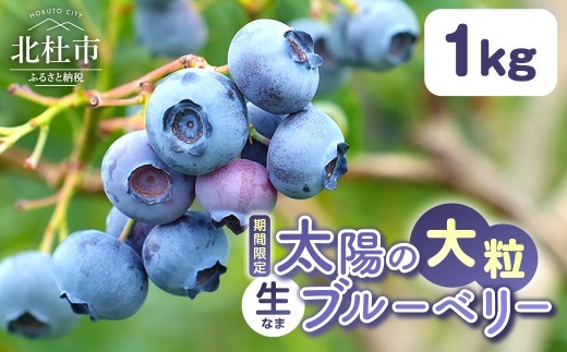 
                  【2027年先行予約】【大粒】山梨県産（明野産）生果 ブルーベリー1000g　無農薬 新鮮 フルーツ くだもの 生果実 ベリー 北杜市産 期間限定 数量限定
                
