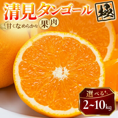 【ふるさと納税】【太陽をたっぷり浴びた】清見タンゴール【極】2kg / 4kg / 5kg / 10kg_ みかん ミカン 蜜柑 清見タンゴール 清見 タンゴール 果物 くだもの フルーツ デザート おいしい 甘い かんきつ 柑橘 柑橘類 国産 【G1623955】