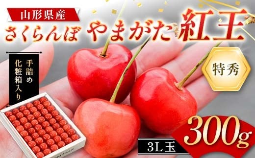 さくらんぼ やまがた紅王 300g 3L玉 大粒 手詰めギフト 特秀 山形県産 化粧箱入り 【令和8年度 先行予約】 FSY-2265