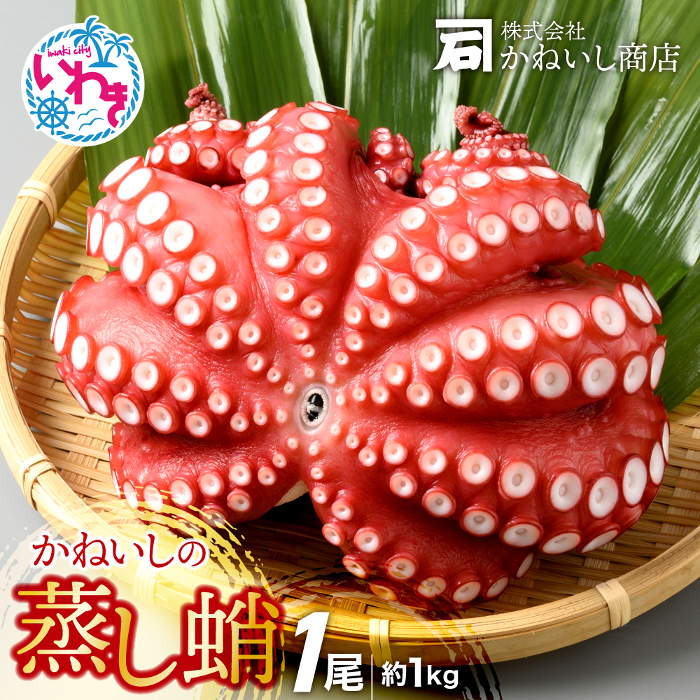 かねいしの蒸し蛸1尾【約1kg】 BU001-1kg-r7
